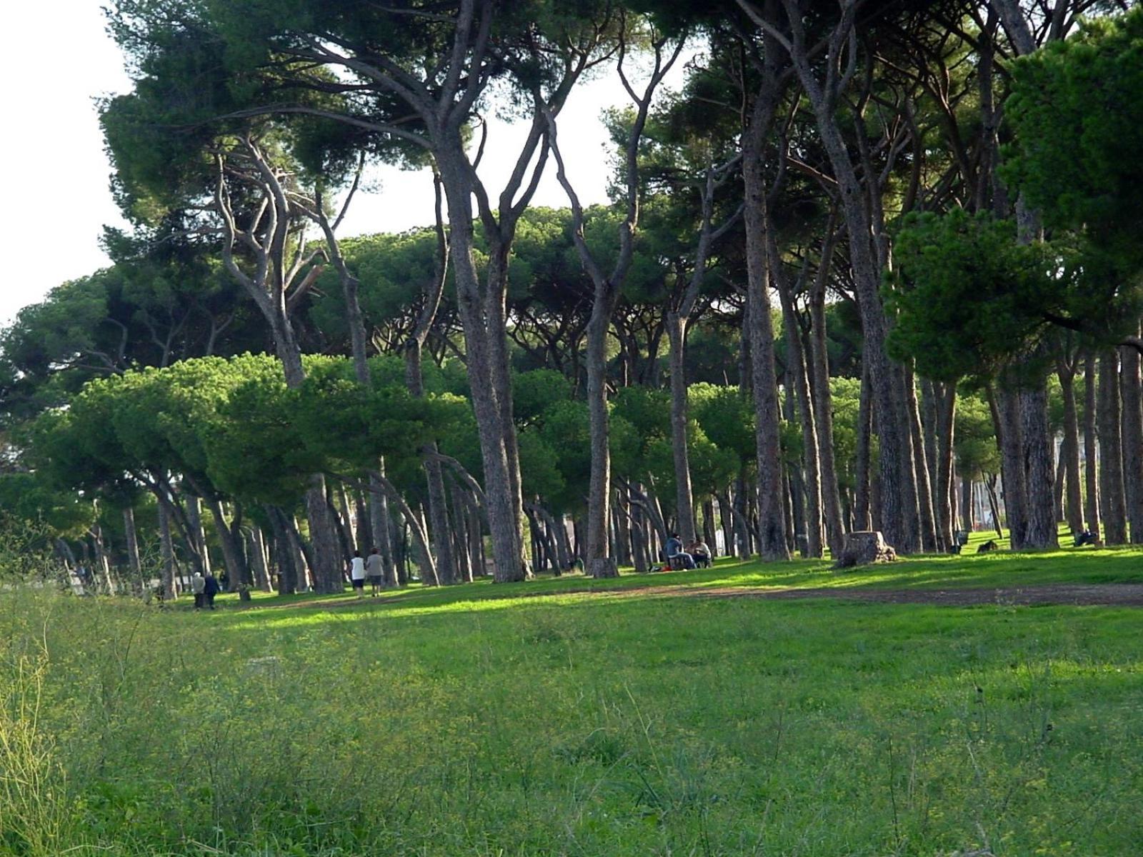 Appartamento Nearpineta